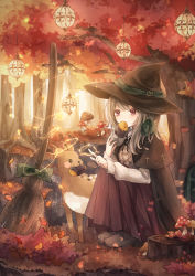 Rule 34 | 1girl, absurdres, animal, autumn, autumn leaves, blush stickers, broom, cape, commentary, day, deer, eating, fantasy, food, forest, hat, highres, huge filesize, lantern, magic, mushroom, nature, original, outdoors, pink eyes, roasted sweet potato, silver hair, sitting, sweeping, sweet potato, tukimisou0225, witch, witch hat, roasted sweet potato