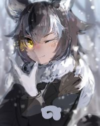 Rule 34 | 10s, 1girl, ;), animal ears, bare tree, black hair, black jacket, blazer, blurry, blurry background, blush, collar, custom (cus-tom), depth of field, fang, fang out, fur collar, gloves, grey wolf (kemono friends), hair between eyes, hand up, jacket, japari symbol, kemono friends, long hair, long sleeves, looking at viewer, multicolored hair, nose blush, one eye closed, outdoors, sleeve cuffs, smile, snow, snowing, solo, tail, tree, tsurime, two-tone hair, upper body, wavy hair, white gloves, white hair, wolf ears, wolf tail, yellow eyes