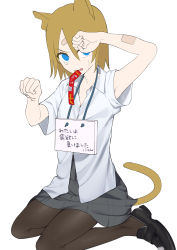 Rule 34 | 1girl, absurdres, animal ears, arm up, bandaid, bandaid on face, bandaid on forehead, black footwear, blue eyes, brown hair, brown pantyhose, cat ears, cat girl, cat tail, collared shirt, dress shirt, grey skirt, hair between eyes, hand up, highres, loafers, looking at viewer, mouth hold, omucchan (omutyuan), original, pantyhose, parted lips, paw pose, pet shaming, shirt, shoes, short sleeves, sign, sign around neck, simple background, sitting, skirt, solo, tail, translation request, wariza, white background, white shirt, wide sleeves