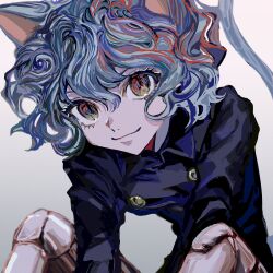 Rule 34 | 1other, animal ears, blue shirt, buttons, cat ears, cat tail, closed mouth, double-breasted, grey hair, highres, hunter x hunter, long sleeves, looking at viewer, neferpitou, red eyes, shirt, short hair, simple background, sitting, smile, solo, tail, yadu nadu