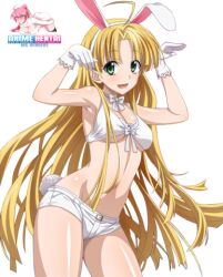Rule 34 | 1girl, asia argento, black socks, blonde hair, blush, bra, character name, green eyes, high school dxd, long hair, lowres, rabbit ears, rabbit tail, shorts, simple background, smile, socks, solo, tagme, transparent background, underwear, very long hair, white background, white bra, white shorts