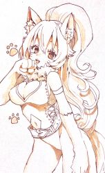 Rule 34 | 1girl, :d, animal ears, animal hands, breasts, cat ears, cat tail, cleavage, cleavage cutout, clothing cutout, gloves, large breasts, leotard, long hair, looking at viewer, murata tefu, navel, open mouth, perisie (star ocean), ponytail, simple background, smile, solo, star ocean, star ocean first departure, tail