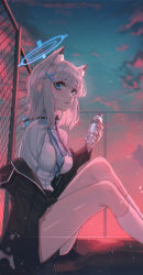 Rule 34 | 1girl, absurdres, animal ear fluff, animal ears, bad id, bad pixiv id, black jacket, blue archive, blue eyes, blue scarf, blush, bottle, breasts, cat ears, chain-link fence, cloud, commentary, domi (hongsung0819), ear piercing, extra ears, fence, from side, hair ornament, halo, highres, holding, holding bottle, jacket, kneehighs, knees up, large breasts, long sleeves, looking at viewer, looking to the side, medium hair, off shoulder, open clothes, open jacket, outdoors, parted lips, piercing, scarf, shiroko (blue archive), silver hair, simple background, sitting, sky, socks, solo, water bottle, white socks, x hair ornament