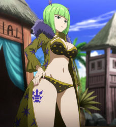 Rule 34 | 1girl, bikini, brandish mew, breasts, cleavage, fairy tail, green eyes, green hair, large breasts, navel, short hair, solo, standing, swimsuit
