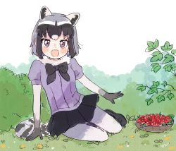 Rule 34 | 1girl, animal ears, black bow, black bowtie, black skirt, blue eyes, blue sweater, blush, bow, bowl, bowtie, bush, common raccoon (kemono friends), elbow gloves, extra ears, fang, food, fruit, fur collar, gloves, grass, grey gloves, grey hair, grey pantyhose, highres, kemono friends, looking at viewer, multicolored hair, open mouth, pantyhose, pleated skirt, puffy short sleeves, puffy sleeves, raccoon ears, raccoon girl, raccoon tail, raspberry, san sami, short hair, short sleeves, simple background, sitting, skirt, solo, sweater, tail, white fur, white hair, yokozuwari