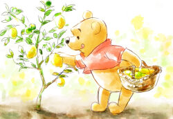 Rule 34 | 1boy, basket, bear, black eyes, day, food, fruit, furry, highres, holding, holding basket, lemon, licking lips, misoko, outdoors, pooh, red shirt, shirt, short sleeves, solo, standing, tongue, tongue out, tree, winnie the pooh
