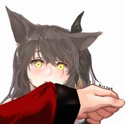 Rule 34 | 1girl, animal ears, biting, biting clothes, brown hair, dated, e.de.n, fox ears, girls&#039; frontline, hair between eyes, long hair, long sleeves, official alternate costume, photo-referenced, pov, pov hands, scar, scar across eye, scar on face, simple background, solo focus, ump45 (girls&#039; frontline), white background, yellow eyes