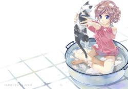 Rule 34 | 1girl, bare shoulders, barefoot, bathing, blue eyes, brown hair, cat, female focus, hair up, holding up, indian style, naruse chisato, original, sitting, soap, solo, washtub, water, wet, wet clothes, white background