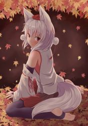 Rule 34 | 1girl, animal ear fluff, animal ears, autumn leaves, bare shoulders, black gloves, black pantyhose, blush, bridal gauntlets, brown background, commentary request, detached sleeves, elbow gloves, feet, full body, gloves, hair between eyes, hat, highres, inubashiri momiji, leaf, long sleeves, looking at viewer, looking back, no shoes, oohirakeisuke, pantyhose, pom pom (clothes), red eyes, red skirt, ribbon-trimmed sleeves, ribbon trim, shadow, shirt, short hair, silver hair, sitting, skirt, smile, soles, solo, tail, tassel, toeless legwear, tokin hat, touhou, wariza, white shirt, wide sleeves, wolf ears, wolf tail