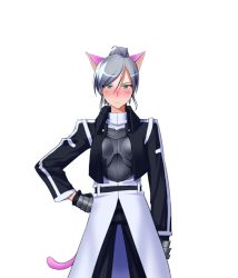 Rule 34 | 00s, absurdres, akimichi, animal ears, aqua eyes, armor, blush, breastplate, cat ears, cat tail, grey hair, highres, melty blood, ponytail, riesbyfe stridberg, tail, transparent background, tsukihime