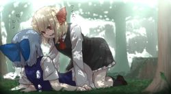 Rule 34 | 2girls, ascot, blonde hair, blue dress, blue hair, cirno, commentary request, dress, face-to-face, forest, hair ornament, hair ribbon, ice, ice wings, kneeling, long sleeves, looking at another, multiple girls, nature, on ground, open mouth, outdoors, red eyes, ribbon, rumia, shirt, short hair, short sleeves, skirt, skirt set, terimayo, text focus, touhou, translated, tree, tree shade, vest, wings, you gonna get raped