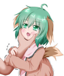 Rule 34 | 1girl, ahoge, animal ears, arm grab, blush, brown dress, cheek squash, dog ears, dog tail, dress, drooling, fang, grabbing another&#039;s chin, green eyes, green hair, hand on another&#039;s chin, hand on another&#039;s face, happy, image sample, kasodani kyouko, long sleeves, matching hair/eyes, oden (th-inaba), open mouth, pink dress, saliva, short hair, simple background, solo focus, tail, thumbnail, touhou, trembling, white background