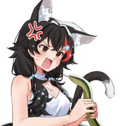 Rule 34 | 1girl, anger vein, animal, animal ear fluff, animal ears, black hair, brown eyes, commentary request, daichi (daichi catcat), facial mark, hair ornament, highres, holding, holding animal, hololive, long hair, multicolored hair, ookami mio, ookami mio (street), open mouth, red hair, shirt, simple background, sleeveless, sleeveless shirt, snake, solo, star (symbol), star hair ornament, streaked hair, tail, tail raised, upper body, v-shaped eyebrows, virtual youtuber, whisker markings, white background, white shirt, wolf ears