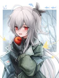 Rule 34 | 1girl, 3 (sanyako1), ahoge, anchor symbol, apple, arknights, black gloves, black sweater, blush, breasts, food, fruit, gloves, green jacket, grey hair, hair ornament, hairclip, highres, holding, holding food, holding fruit, jacket, jewelry, long hair, long sleeves, necklace, off shoulder, open clothes, open jacket, open mouth, red eyes, ribbed sweater, skadi (arknights), skadi (the next afternoon tea) (arknights), small breasts, solo, sweater, teeth, turtleneck, turtleneck sweater, upper body, upper teeth only, very long hair