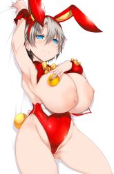 Rule 34 | 1girl, absurdres, animal ears, arm up, armpits, bare legs, blue eyes, blush, breasts, breasts out, cameltoe, closed mouth, commentary request, covered navel, detached collar, food, fruit, grey hair, hair between eyes, highres, huge breasts, large areolae, leotard, mandarin orange, nipples, playboy bunny, puffy nipples, rabbit ears, red leotard, simple background, smile, thighs, tsukasawa takamatsu, uzaki-chan wa asobitai!, uzaki hana, white background, wrist cuffs
