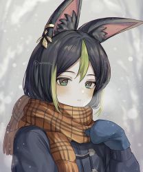 Rule 34 | 1boy, animal ears, bishounen, black hair, blurry, blurry background, blurry foreground, blush, closed mouth, coat, commentary request, fox boy, fox ears, genshin impact, green eyes, green hair, hair ornament, highres, long sleeves, male focus, mittens, multicolored hair, scarf, snowing, solo, tighnari (genshin impact), winter clothes, winter coat, woooi