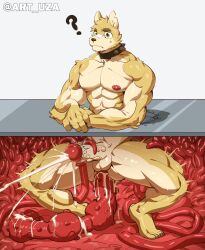 Rule 34 | 1boy, ?, abs, anal, bandaid, bandaid on face, bandaid on nose, bara, collar, completely nude, confused, cum, cum overflow, erection, full body, furry, furry male, highres, large pectorals, male focus, male penetrated, muscular, muscular male, nipple piercing, nipples, nude, original, pectorals, penis, piercing, projectile cum, short hair, solo, spiked collar, spikes, squatting, stuck, sweatdrop, tentacle sex, tentaclejob, tentacles, thick eyebrows, thick thighs, thighs, uza (hellme), v-taper, veins, veiny penis