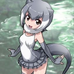 Rule 34 | 10s, 1girl, :3, absurdres, animal ears, bad id, bad pixiv id, covered navel, elbow gloves, fingerless gloves, frilled one-piece swimsuit, frilled swimsuit, frills, from above, fur collar, gloves, grey gloves, grey hair, grey one-piece swimsuit, grey thighhighs, highres, kemono friends, looking at viewer, multicolored hair, one-piece swimsuit, open mouth, otter ears, otter tail, rohitsuka, short hair, small-clawed otter (kemono friends), smile, solo, swimsuit, tail, thighhighs, two-tone hair, water, white hair