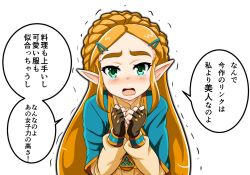 Rule 34 | 1girl, blonde hair, blush, crying, female focus, green eyes, looking at viewer, nintendo, princess zelda, solo, speech bubble, talking, text focus, the legend of zelda, the legend of zelda: breath of the wild, translation request, upper body