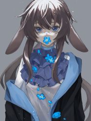Rule 34 | 1girl, absurdres, amiya (arknights), animal ears, arknights, black jacket, blue eyes, blue flower, brown hair, commentary request, eyebrows hidden by hair, flower, forget-me-not (flower), grey background, hair between eyes, highres, jacket, long hair, looking at viewer, naiyue537, off shoulder, open clothes, open jacket, petals, procreate (medium), rabbit ears, shirt, simple background, solo, upper body, very long hair, white shirt