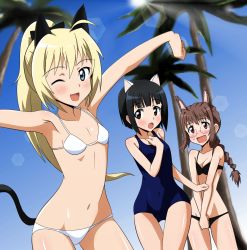 Rule 34 | 3girls, :d, :o, ;d, animal ears, armpits, bikini, black eyes, black hair, blonde hair, blue eyes, braid, brown eyes, brown hair, cat ears, cat tail, charlotte (strike witches), charlotte lueder, glasses, highres, inagaki mami, kitano furuko, lens flare, long hair, multiple girls, navel, one-piece swimsuit, one eye closed, open mouth, outstretched arms, rabbit girl, school swimsuit, short hair, smile, spread arms, strike witches, swimsuit, tail, thigh gap, v arms, wink, witches of africa, world witches series, yumekaranigeruna