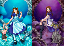 Rule 34 | alice (alice in wonderland), alice in wonderland, alice liddell (american mcgee&#039;s alice), american mcgee&#039;s alice, artist request, blood, cat, cheshire cat (alice in wonderland), corruption, dress, rabbit, weapon
