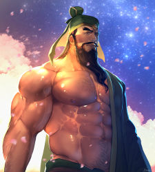 Rule 34 | 1boy, abs, bara, bare pectorals, beard, brown hair, bulge, cherry blossoms, chest hair, chinese clothes, facial hair, guan yu, hat, highres, large pectorals, long hair, looking at viewer, male focus, manly, muscular, navel, navel hair, nipples, pectorals, petals, rybiok, shin sangoku musou, shiny skin, sky, solo, star (sky), starry sky, thick eyebrows, thick thighs, thighs, upper body
