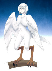 Rule 34 | 1boy, blue background, blue eyes, claws, closed mouth, feathered wings, feathers, full body, groin, harpy boy, looking at viewer, male focus, medium hair, monster boy, navel, nude, simple background, solo, stomach, tail, talons, branch, white background, white hair, winged arms, wings, youta-san