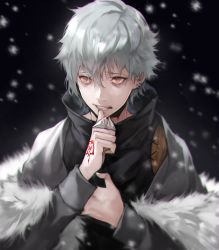 Rule 34 | 1boy, biting, cape, close-up, coat, command spell, commentary request, fate/grand order, fate (series), fur coat, hand on own chest, highres, holding, kadoc zemlupus, long sleeves, looking to the side, male focus, nail biting, silver hair, snowing, solo, upper body, yellow eyes, yoshio (55level)