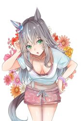 Rule 34 | animal ears, bra, breasts, collarbone, commentary request, flower, gaze on me! outfit (umamusume), green eyes, grey hair, hair between eyes, hair ornament, horse ears, horse girl, horse tail, looking at viewer, medium breasts, midriff, navel, open mouth, reishi (litvyak), shorts, solo, tail, thick eyebrows, umamusume, underwear, white background, wonder acute (umamusume)