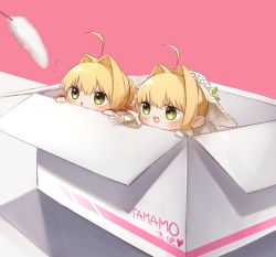 Rule 34 | 2girls, :d, ahoge, blush, box, cattail, chibi, fate/extra, fate/extra ccc, fate (series), flower, flying sweatdrops, gloves, green eyes, hair between eyes, hair intakes, heart, highres, in box, in container, long sleeves, looking away, multiple girls, nero claudius (bride) (fate), nero claudius (fate), nero claudius (fate) (all), nero claudius (fate/extra), open mouth, outstretched arm, parted lips, pink background, plant, simple background, smile, v-shaped eyebrows, veil, white flower, white gloves, white sleeves, wide sleeves, yayoi maka
