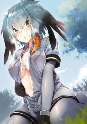 Rule 34 | 10s, 1girl, belt, black gloves, black hair, blue sky, blush, breasts, breath, collared shirt, commentary request, covered erect nipples, day, gloves, grey hair, grey pantyhose, grey shirt, grey shorts, hair between eyes, head wings, highres, kemono friends, long hair, looking at viewer, low ponytail, medium breasts, multicolored hair, necktie, open clothes, open shirt, outdoors, pantyhose, parted lips, shirt, shoebill (kemono friends), short sleeves, shorts, side ponytail, sky, solo, umakuchi shouyu (into-rain), wing collar, wings, yellow eyes
