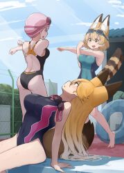Rule 34 | 3girls, alternate costume, animal ears, bare shoulders, black one-piece swimsuit, blonde hair, blue one-piece swimsuit, brown hair, cat ears, cat girl, cat tail, commentary request, competition swimsuit, extra ears, ezo red fox (kemono friends), fox ears, fox girl, fox tail, goggles, goggles on head, hntk778, kemono friends, long hair, multiple girls, nana (kemono friends), no pants, one-piece swimsuit, orange hair, outdoors, pink hair, pool, serval (kemono friends), shirt, short hair, short sleeves, sitting, swim cap, swimsuit, swimsuit under clothes, t-shirt, tail, white shirt, yellow eyes