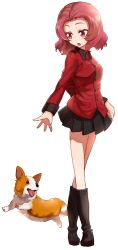 Rule 34 | 10s, 1girl, black skirt, blouse, boots, dog, girls und panzer, jacket, oono imo, parted bangs, red hair, red jacket, red shirt, rosehip (girls und panzer), shirt, short hair, simple background, skirt, uniform, welsh corgi, white background