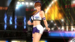 Rule 34 | 1girl, 3d, breasts, brown hair, crop top, dead or alive, dead or alive 5, highres, kasumi (doa), large breasts, long hair, midriff, navel, official art, ponytail, short shorts, shorts, tecmo, wrestling ring