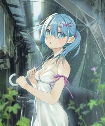 Rule 34 | 1girl, absurdres, alley, bare shoulders, blue eyes, blue hair, blurry, blurry foreground, blush, collarbone, dress, flower, hair between eyes, hair ornament, hairclip, highres, holding, holding umbrella, long hair, open mouth, outdoors, over shoulder, industrial pipe, plant, ponytail, purple flower, purple ribbon, rain, re:zero kara hajimeru isekai seikatsu, rem (re:zero), ribbon, see-through, see-through dress, sign, slumcat, solo, tongue, transparent, transparent umbrella, umbrella, water drop, white dress, x hair ornament