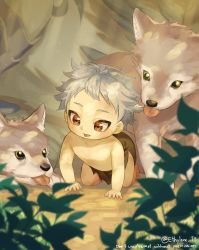 Rule 34 | 1boy, :p, alternate hair length, alternate hairstyle, brown eyes, ethylene ty, genshin impact, grey hair, highres, looking to the side, male focus, outdoors, razor (genshin impact), short hair, tongue, tongue out, wolf, wolf boy