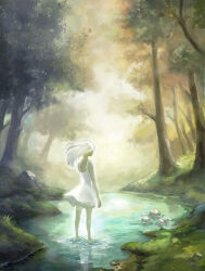 Rule 34 | 1girl, absurdres, dress, forest, grass, highres, long hair, nature, original, reflection, river, rock, solo, sunlight, touchika, tree, water, white dress, white hair