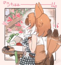 Rule 34 | 1girl, animal ears, bare shoulders, blush, brown skirt, brown vest, commentary request, dated, dhole (kemono friends), dog ears, dog girl, dog tail, extra ears, closed eyes, fanta (the banana pistols), gift, gloves, happy, heart, highres, kemono friends, kemono friends 3, light brown hair, multicolored hair, note, open mouth, pleated skirt, short hair, skirt, sleeveless, solo, tail, tail wagging, translation request, vest, white gloves, white hair