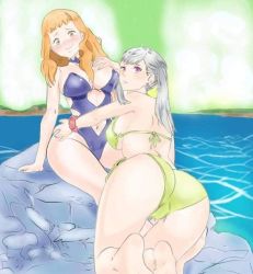 Rule 34 | 2girls, ass, back, bare shoulders, black clover, blush, breasts, closed mouth, earrings, feet, grey hair, guolfeich, jewelry, large breasts, long hair, mimosa vermillion, multiple girls, noelle silva, orange hair, purple eyes, smile, swimsuit, tagme, twintails, water, yellow eyes
