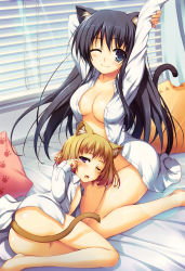 Rule 34 | 2girls, absurdres, animal ears, arms up, ass, black hair, blue eyes, breasts, brown hair, cat ears, cat tail, cleavage, highres, large breasts, lens flare, long hair, megami magazine, megami magazine deluxe, multiple girls, naked shirt, no bra, no pants, one eye closed, open clothes, open shirt, original, paw print, pillow, purple eyes, scan, shirt, short hair, small breasts, smile, sunlight, tail, tomose shunsaku, waking up, wink