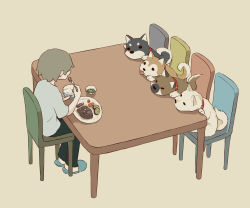 Rule 34 | 1boy, absurdres, animal, avogado6, beige background, blouse, blue footwear, blue shirt, bowl, chair, collar, commentary request, dog, facing away, food, from side, grey hair, highres, holding, indoors, knife, male focus, mamezara, on chair, open mouth, original, pants, plate, puppy, rice, rice bowl, shiba inu, shirt, short sleeves, simple background, sitting, slippers, steak, striped, sweet potato, table, tongue, tongue out, vertical stripes, wide shot