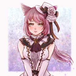 Rule 34 | 1girl, absurdres, akira-tama, animal ears, warrior of light (ff14), blush, breasts, brown eyes, cat ears, elbow gloves, facial mark, final fantasy, final fantasy xiv, gloves, hat, highres, long hair, looking at viewer, medium breasts, miqo&#039;te, pink hair, ponytail, sleeveless, solo, swept bangs, upper body, whisker markings, white gloves