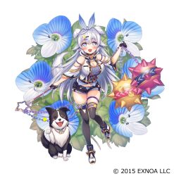 Rule 34 | 1girl, :3, :d, absurdres, animal, ball and chain (weapon), bare shoulders, black gloves, black shorts, black thighhighs, blue eyes, blue flower, blush, breasts, chain, cleavage, commentary request, copyright notice, dog, flail, flower, flower knight girl, full body, gloves, grey hair, hair between eyes, hair ornament, hairclip, half gloves, highres, holding, ichigo seika, long hair, medium breasts, name connection, object namesake, official art, open mouth, persian speedwell, persian speedwell (flower knight girl), shirt, shoes, short shorts, shorts, smile, solo, spike ball, spiked ball and chain, standing, standing on one leg, star-shaped pupils, star (symbol), star hair ornament, symbol-shaped pupils, thighhighs, tongue, tongue out, very long hair, watermark, weapon, white footwear, white shirt