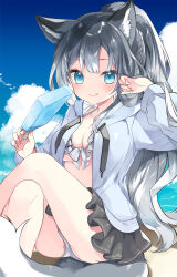 Rule 34 | 1girl, adjusting hair, animal ear fluff, animal ears, bikini, black skirt, blue eyes, blue hoodie, braid, breasts, commentary, crossed legs, drawstring, feet out of frame, fingernails, food, front-tie bikini top, front-tie top, grey hair, highres, holding, holding food, hood, hoodie, kamiyoshi rika, legs, long hair, looking at viewer, medium breasts, miniskirt, ocean, open clothes, open hoodie, original, outdoors, ponytail, popsicle, sitting, skirt, sky, smile, solo, swimsuit, tail, tongue, tongue out, very long hair, white bikini