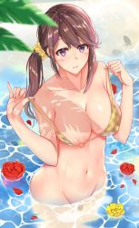 Rule 34 | 1girl, beach, bikini, blurry, blush, bottomless, breasts, brown hair, caustics, cleavage, collarbone, cowboy shot, day, depth of field, female pubic hair, flower, hair ornament, hair scrunchie, hairclip, hands up, highres, lens flare, looking at viewer, md5 mismatch, medium breasts, muka tsuku, navel, nipple slip, nipples, one side up, original, outdoors, palm leaf, parted lips, petals, plaid, plaid bikini, pubic hair, puffy nipples, pulled by self, purple eyes, resolution mismatch, scrunchie, shade, shiny skin, sidelocks, solo, source smaller, standing, strap pull, swimsuit, undressing, wading, water, yellow bikini