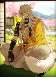 Rule 34 | 10s, 1boy, animal ears, bishounen, cherry blossoms, fox ears, fox tail, full body, hair flaps, highres, indian style, japanese clothes, kogitsunemaru, long hair, male focus, personification, red eyes, sitting, sliding doors, solo, tail, tekla, touken ranbu, tree