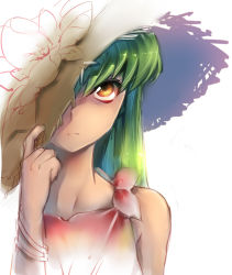 Rule 34 | 1girl, brown eyes, c.c., code geass, frown, green hair, hat, hat over one eye, hein27, long hair, simple background, sketch, solo, straw hat, upper body, white background