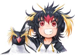 Rule 34 | 1girl, :d, animal, bird, black hair, blonde hair, collarbone, commentary request, drawstring, grin, hand up, headphones, highres, hood, hood down, hoodie, kemono friends, lain, looking at viewer, multicolored hair, open mouth, penguin, red eyes, red hair, rockhopper penguin, rockhopper penguin (kemono friends), short hair, simple background, smile, teeth, twintails, v-shaped eyebrows, white background