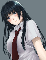 Rule 34 | 1girl, absurdres, aoki eichi, black eyes, black hair, blush, breast pocket, breasts, closed mouth, collared shirt, dutch angle, grey background, highres, large breasts, light smile, long hair, looking at viewer, necktie, original, pocket, red necktie, school uniform, shirt, short sleeves, simple background, smile, solo, upper body